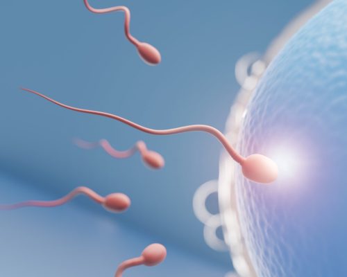 Fertility Treatments: IVF, IUI, and Other Advanced Methods