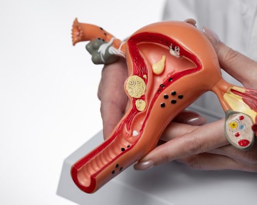 The Importance of Regular Gynecological Check-Ups for Women’s Health